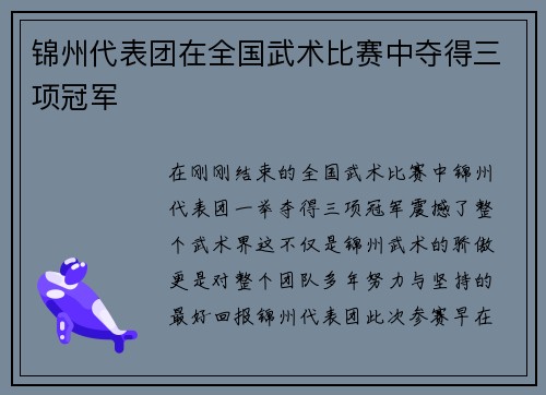 锦州代表团在全国武术比赛中夺得三项冠军