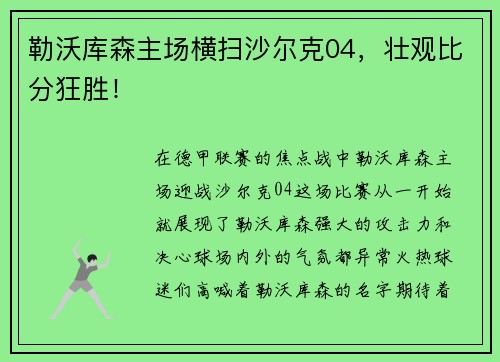勒沃库森主场横扫沙尔克04，壮观比分狂胜！