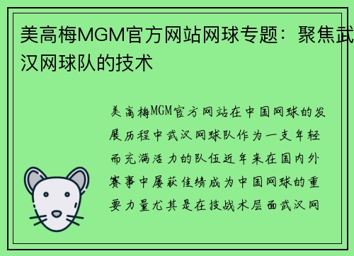 美高梅MGM官方网站网球专题：聚焦武汉网球队的技术